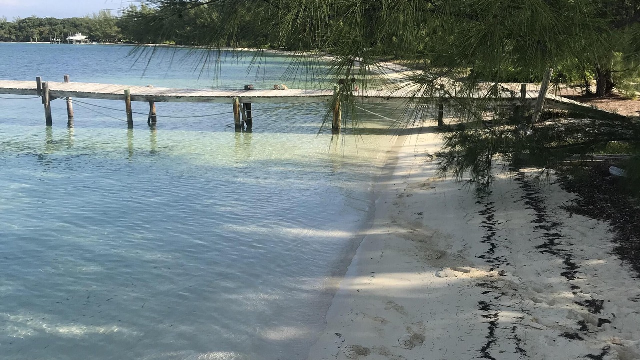 Photo of Others in Green Turtle Estates