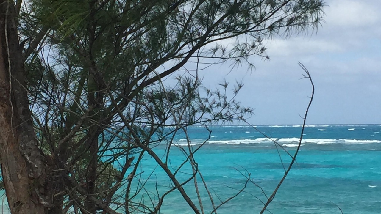 Photo of Others in Green Turtle Estates