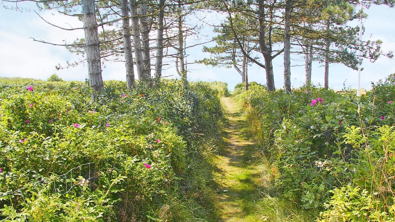 Photo of Outdoor in Skodshoved