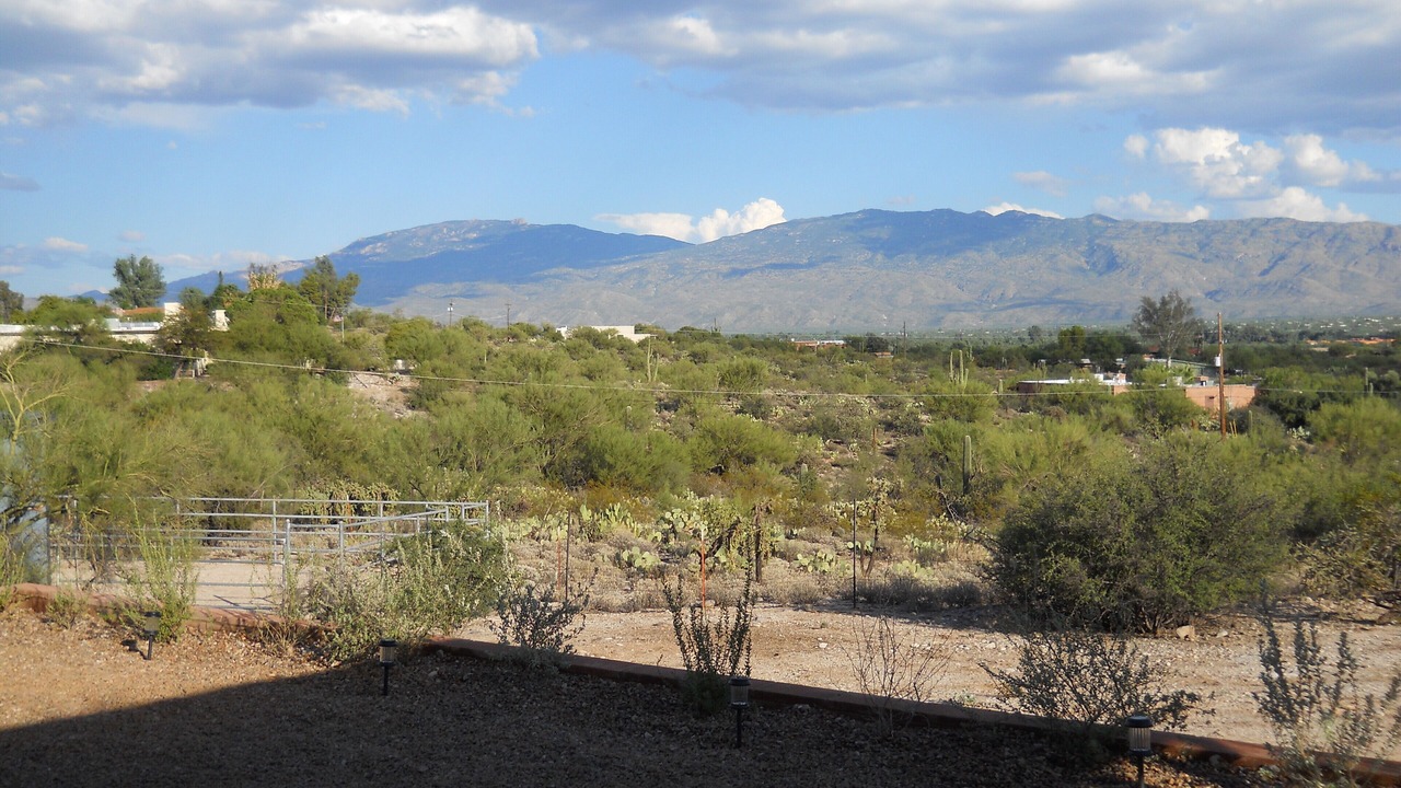 Photo of Others in Tanque Verde