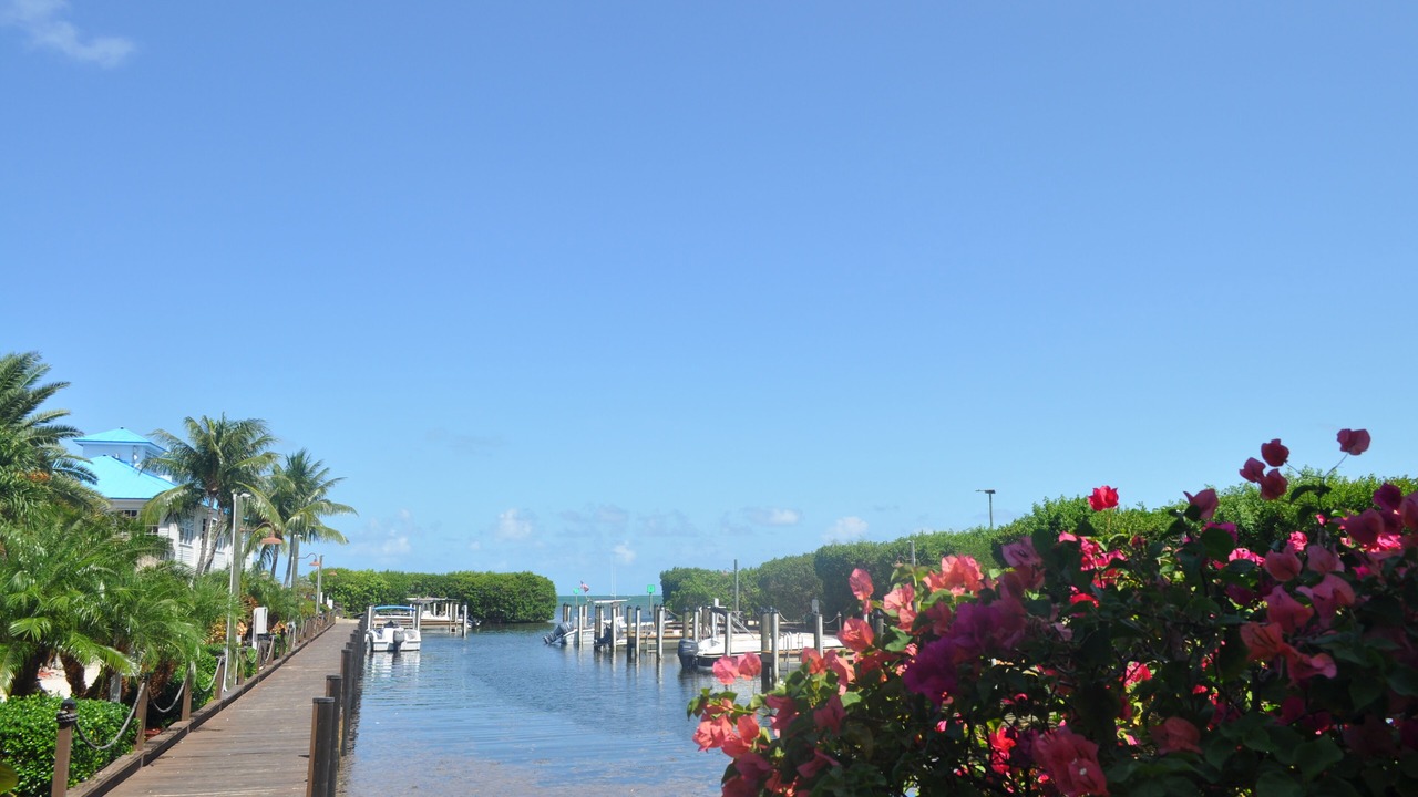 Photo of Others in Tavernier