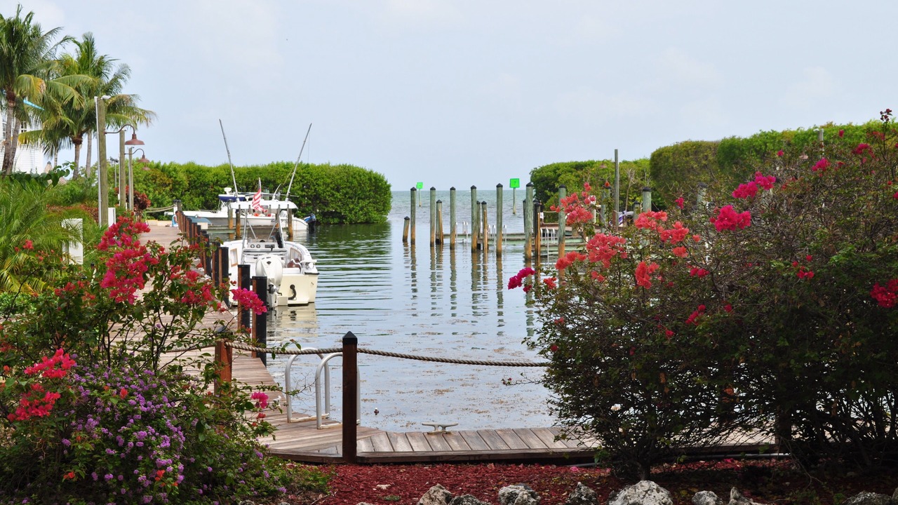 Photo of Others in Tavernier