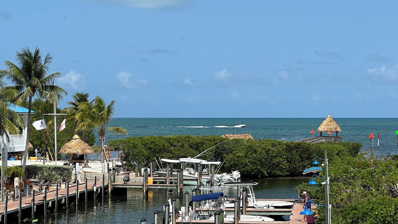 Photo of Others in Tavernier