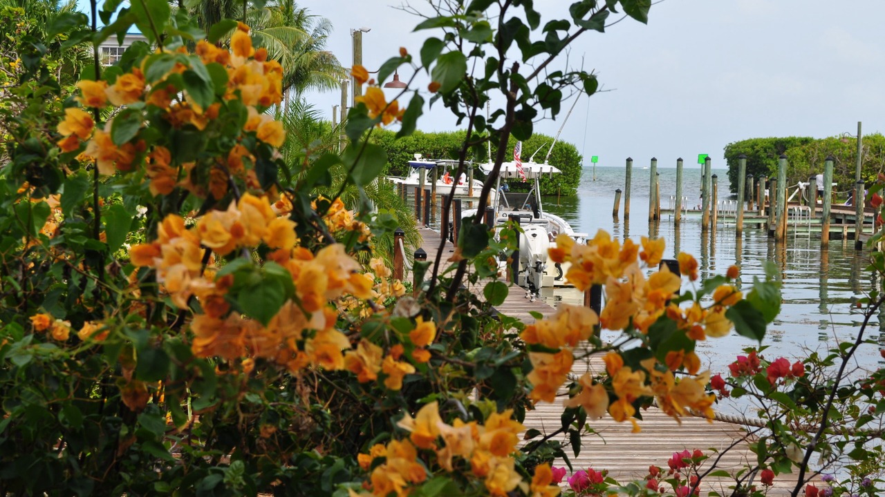 Photo of Others in Tavernier