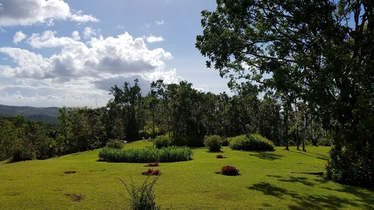 Photo of Outdoor in Guzman Arriba