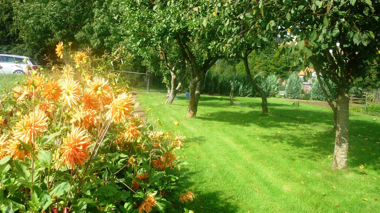 Photo of Outdoor in Wustheuterode