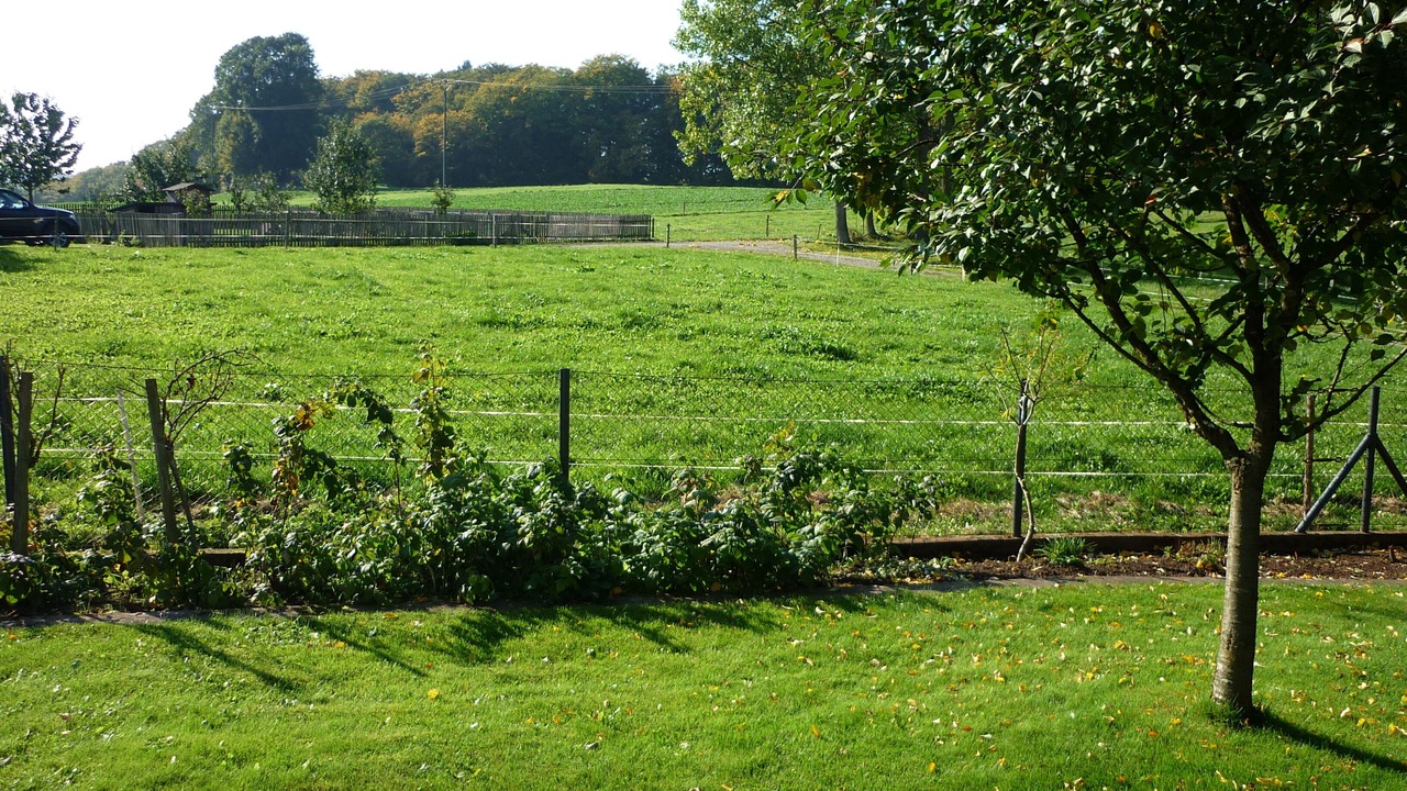 Photo of Outdoor in Wustheuterode