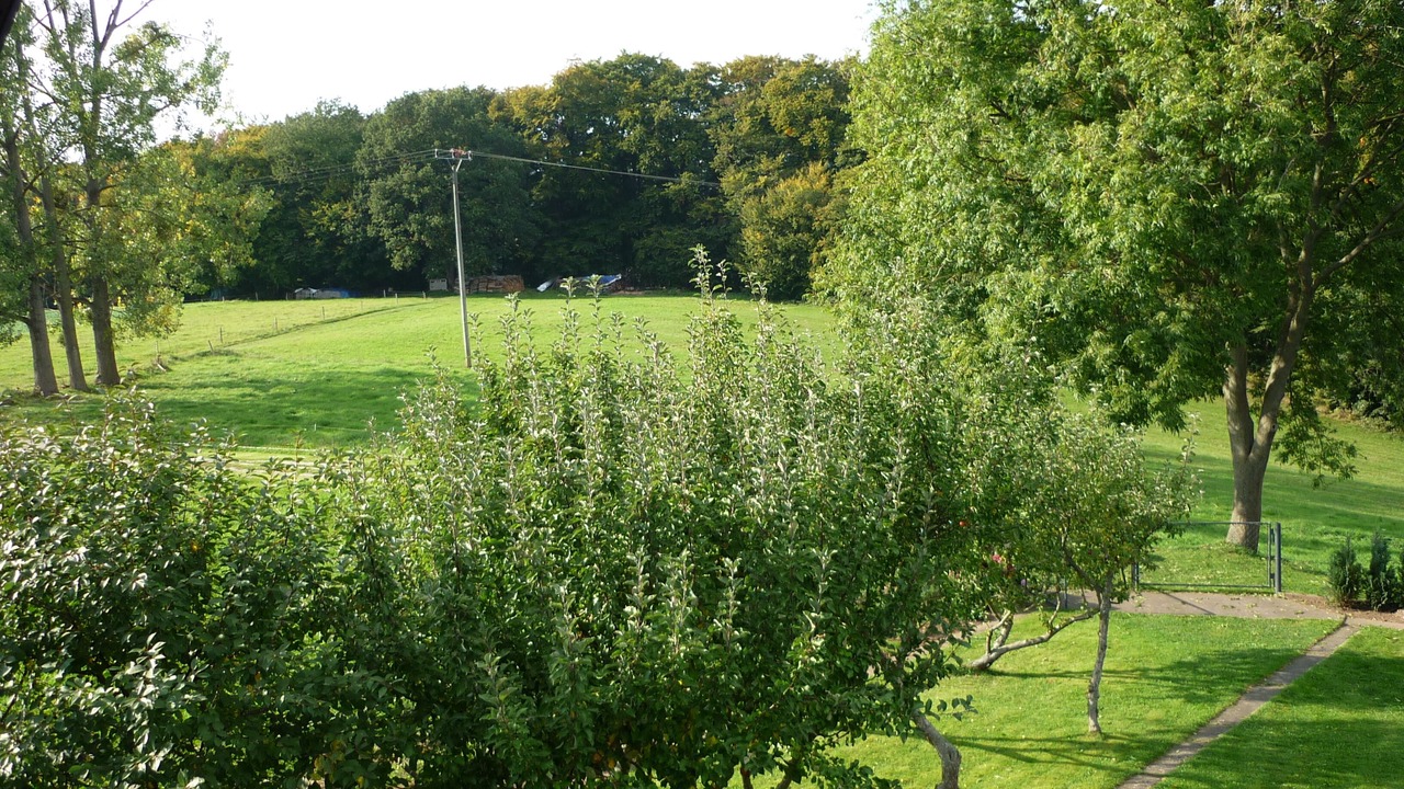 Photo of Outdoor in Wustheuterode