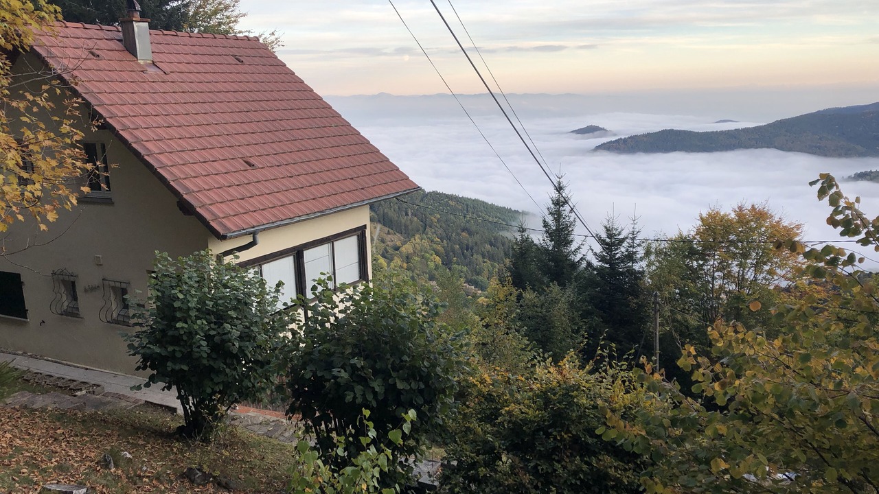 Photo of Outdoor in Linthal