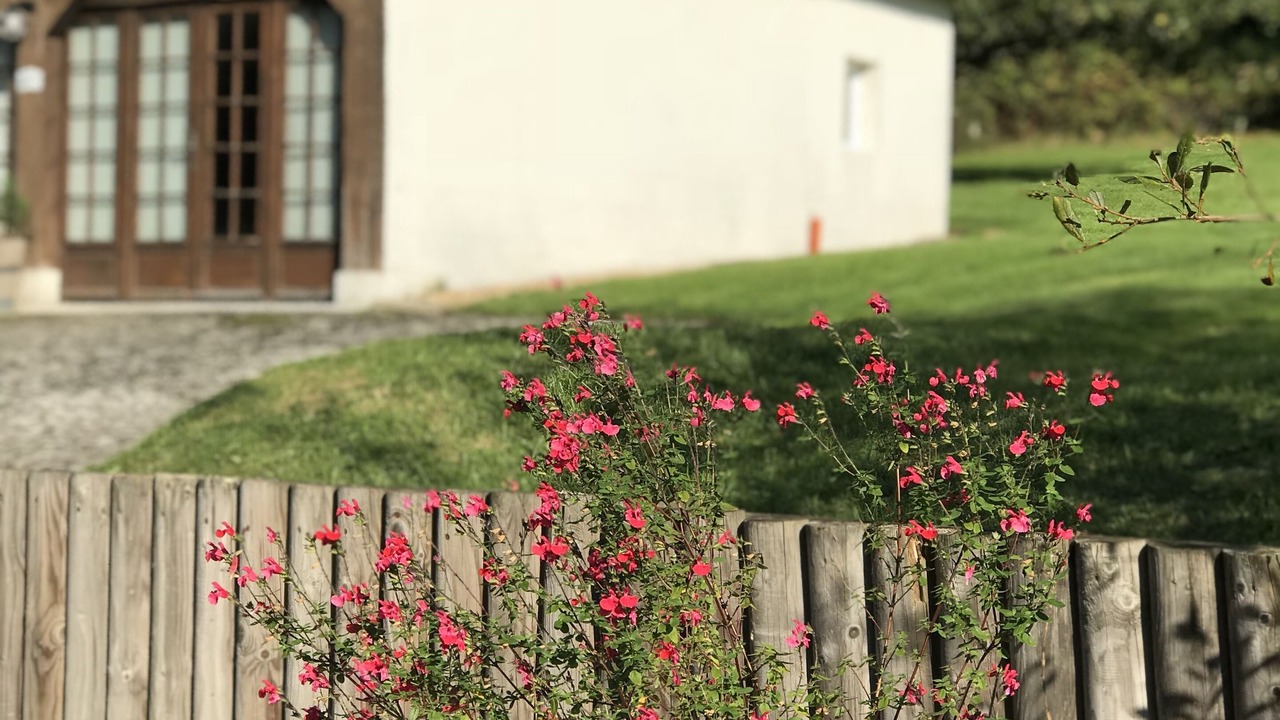 Photo of Outdoor in Saint-Martin-aux-Chartrains
