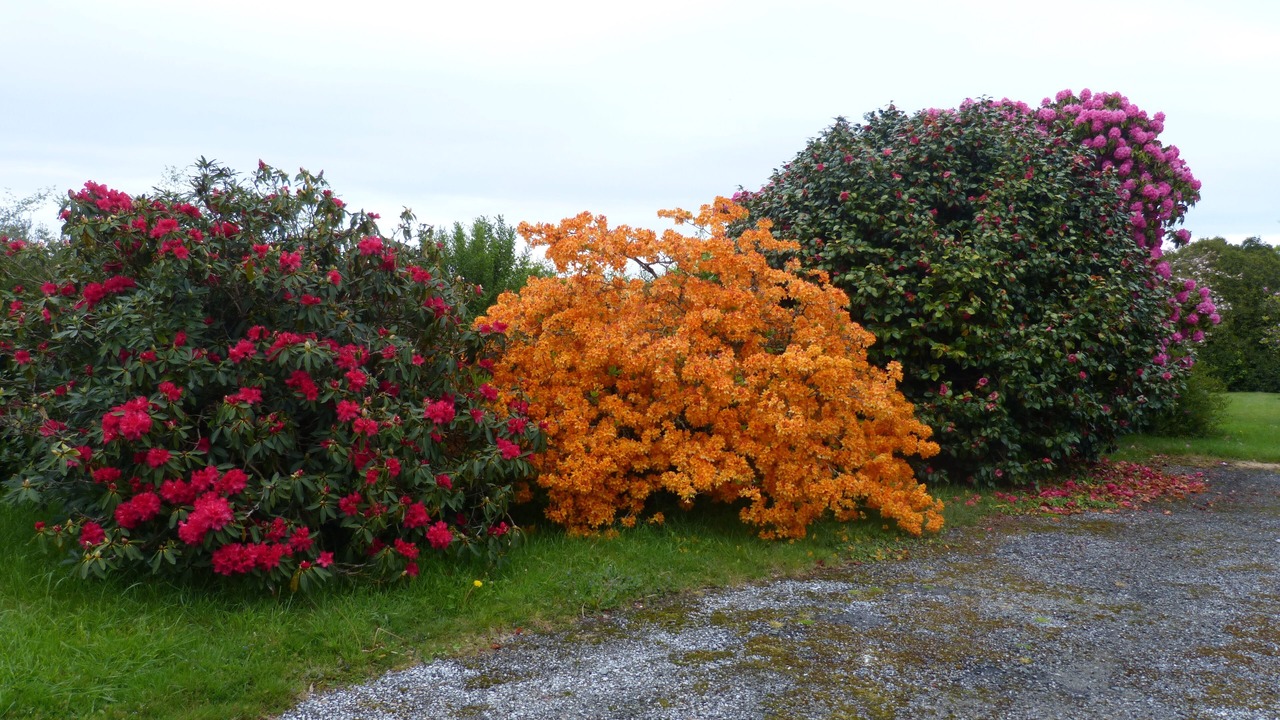 Photo of Outdoor in Saint-Thois