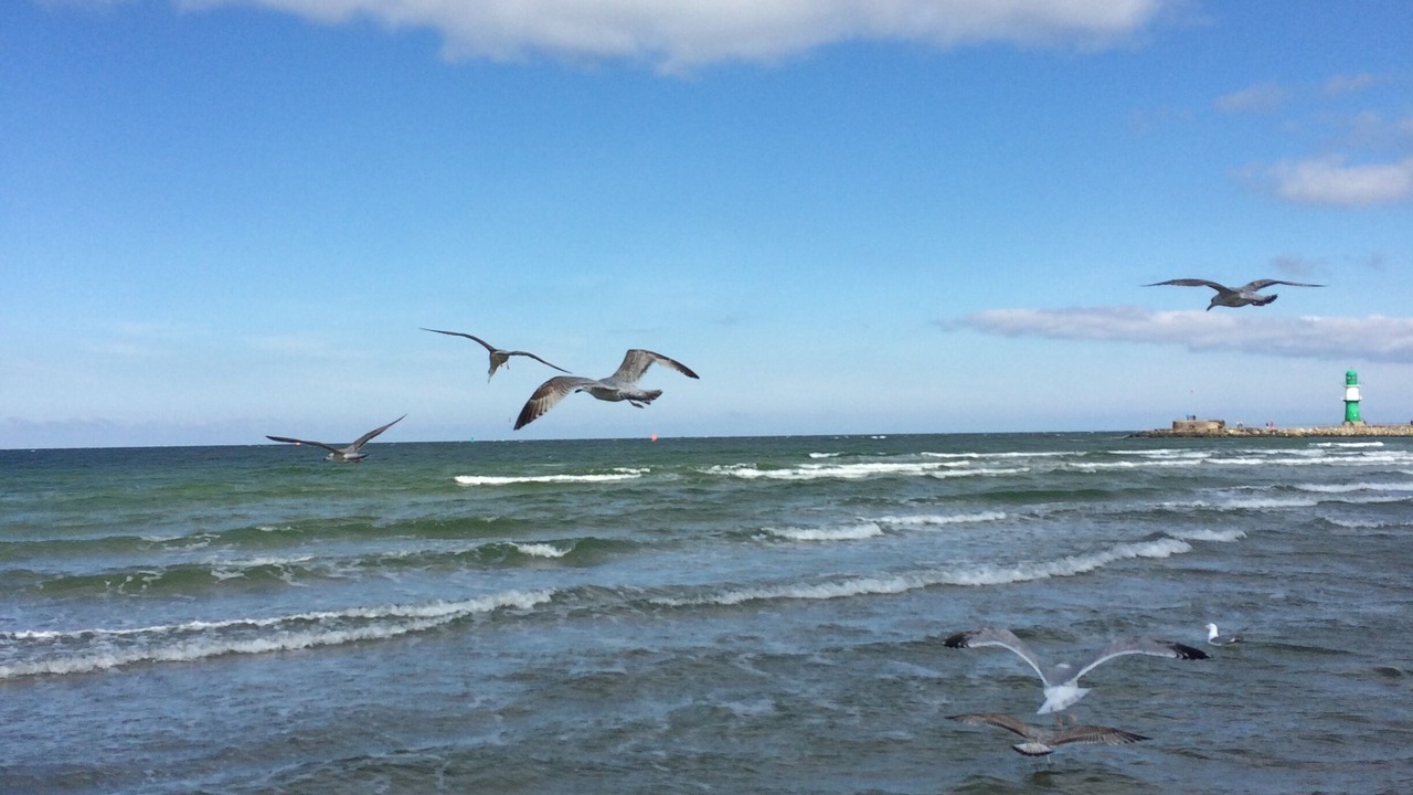 Photo of Others in Warnemuende