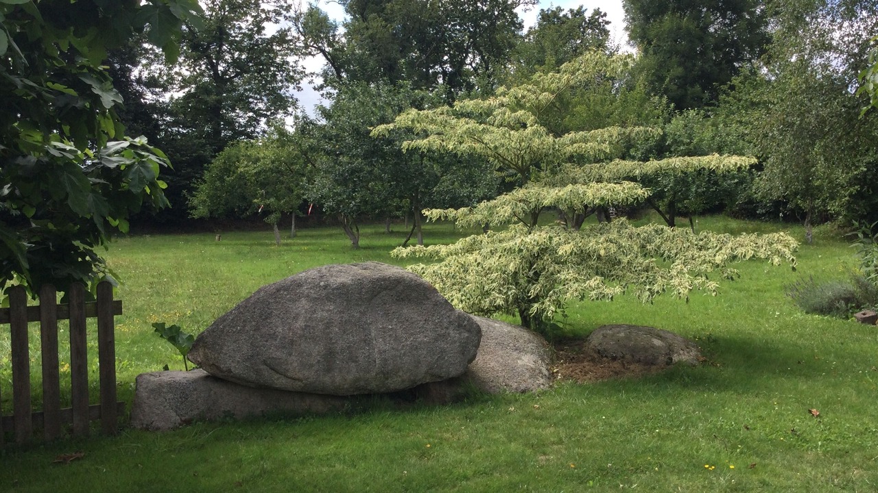 Photo of Outdoor in Kergloff