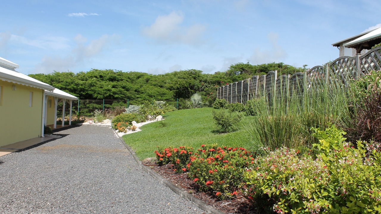 Photo of Outdoor in Grande-Terre
