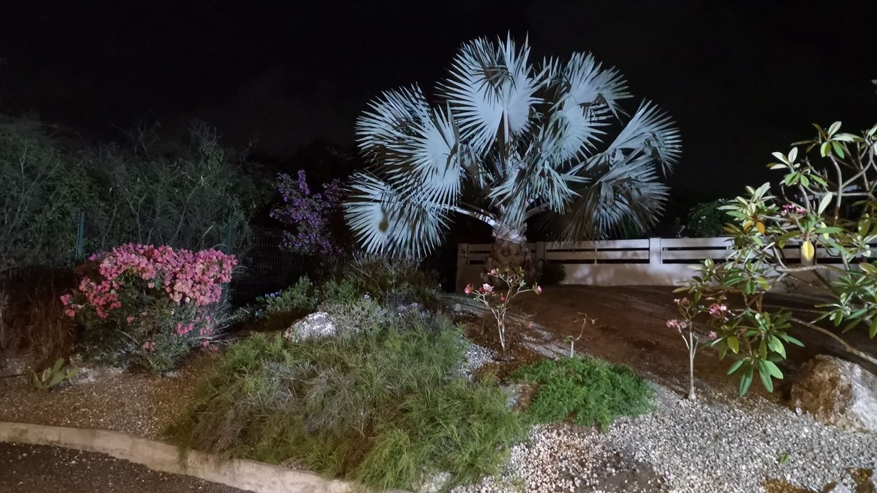 Photo of Outdoor in Grande-Terre