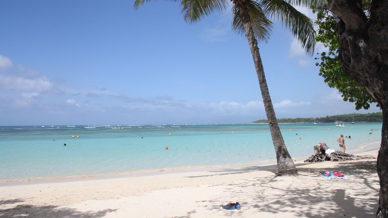 Photo of Others in Grande-Terre