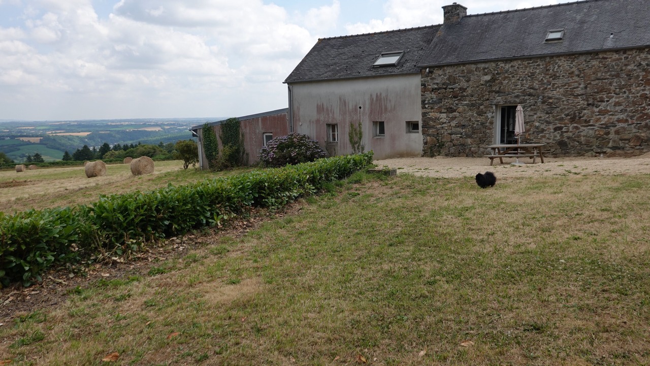 Photo of Outdoor in Dineault