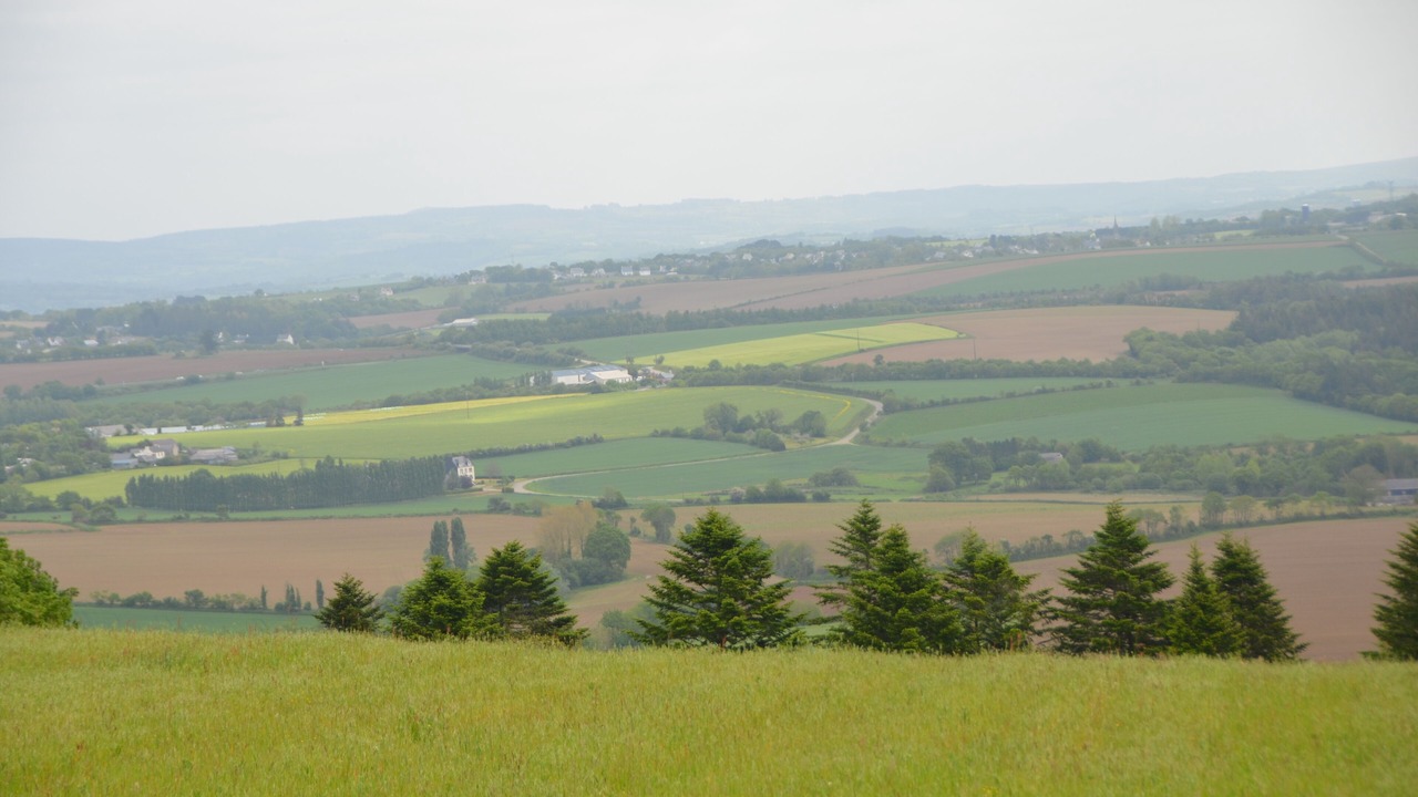 Photo of Others in Dineault