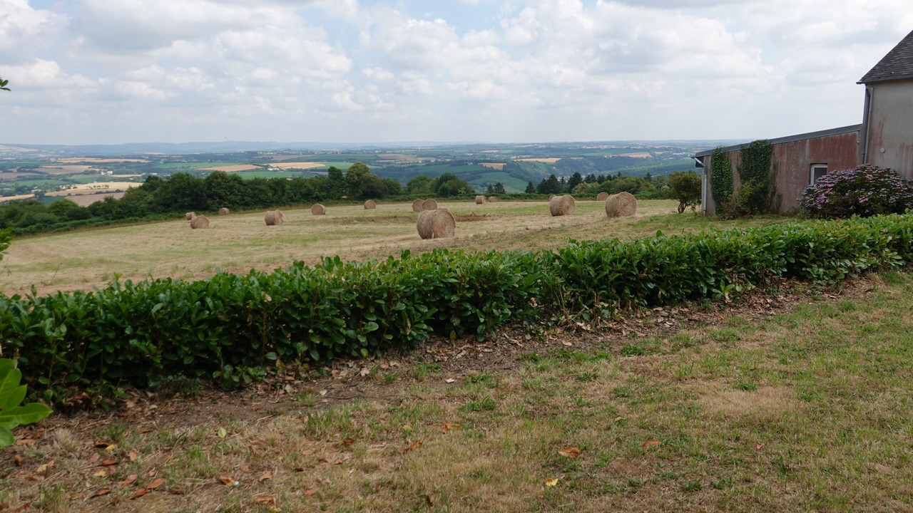 Photo of Outdoor in Dineault