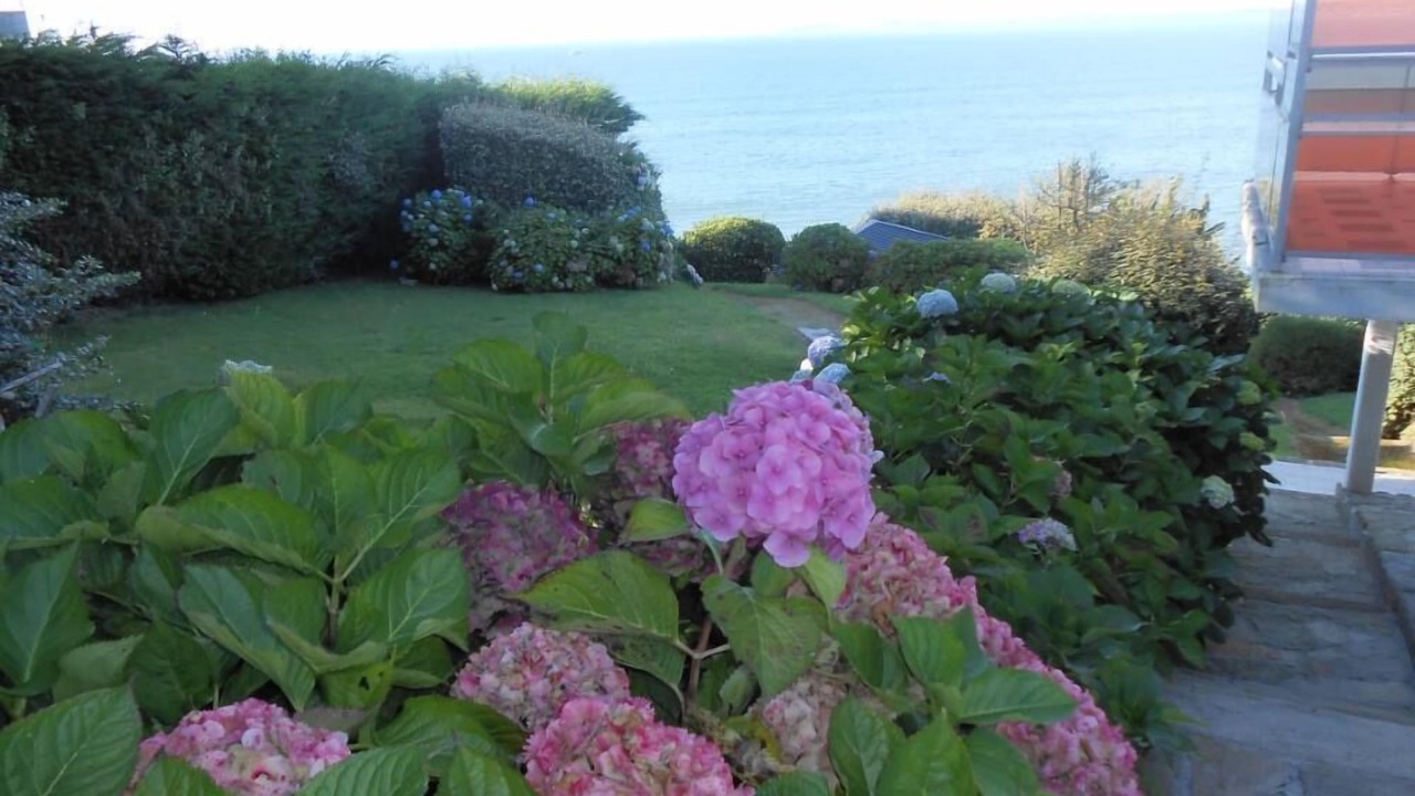 Photo of Outdoor in Douarnenez