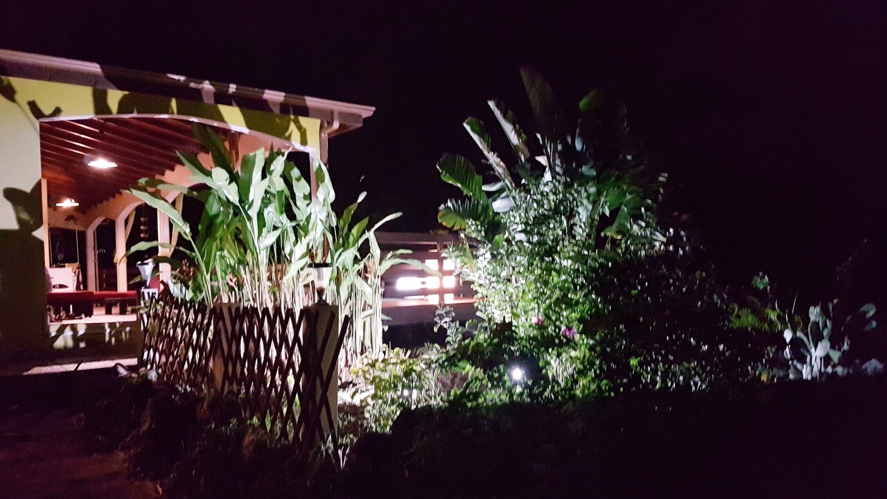 Photo of Outdoor in Le Gosier