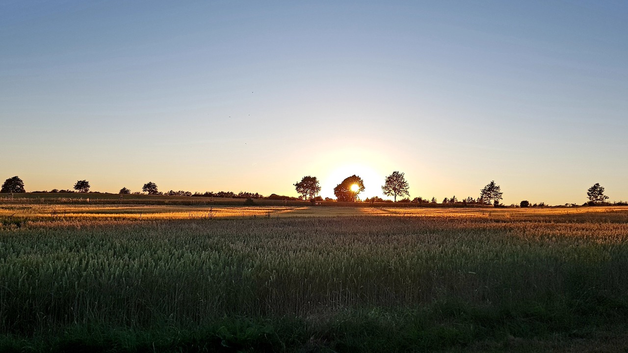 Photo of Others in Assens