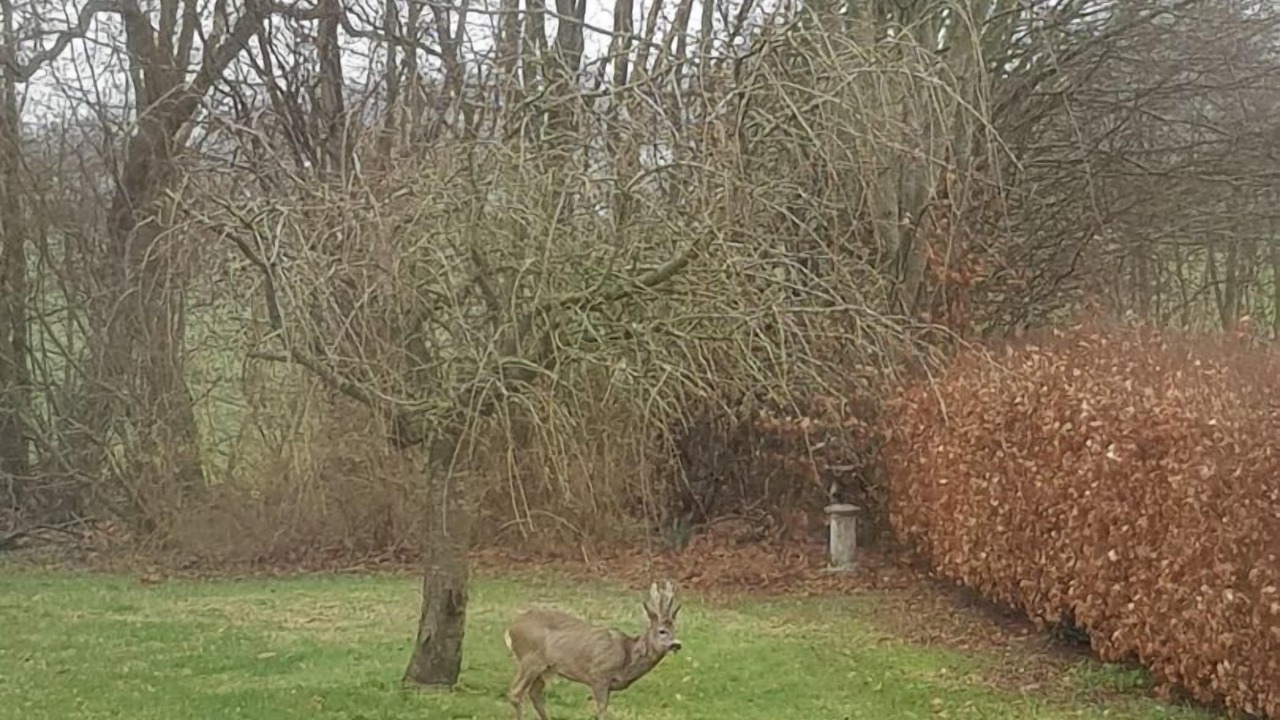Photo of Outdoor in Assens