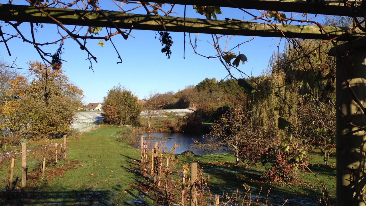 Photo of Outdoor in Assens