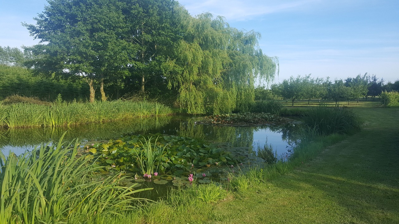 Photo of Outdoor in Assens