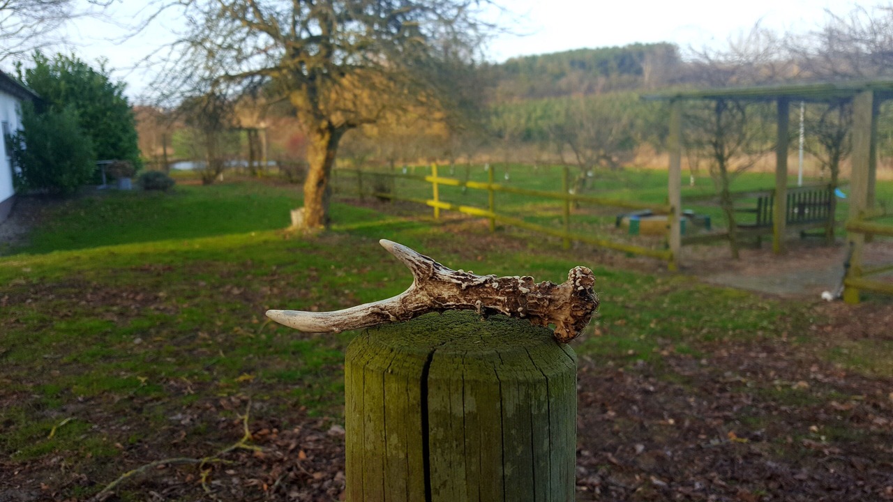 Photo of Outdoor in Assens
