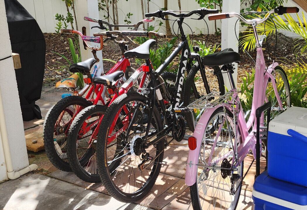 Photo of Others in Cudjoe Key