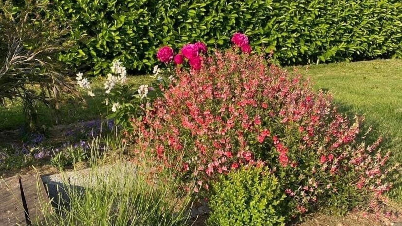 Photo of Outdoor in Rosbercon