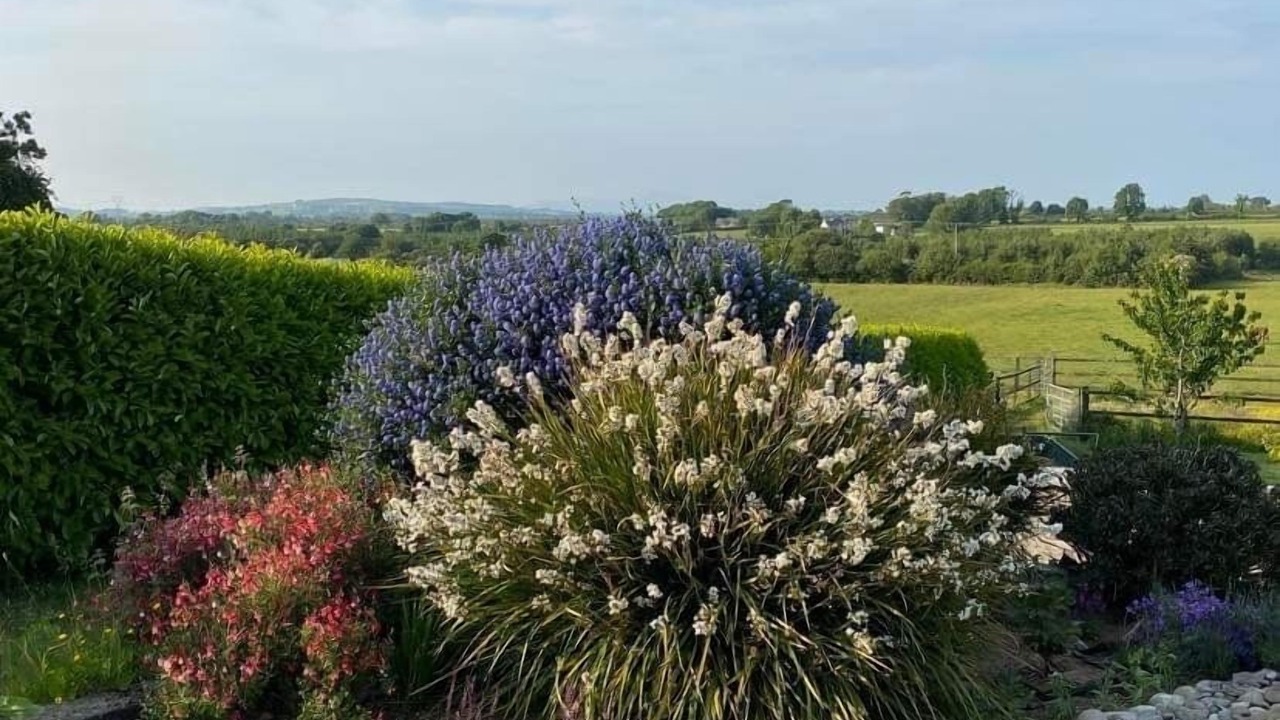 Photo of Outdoor in Rosbercon