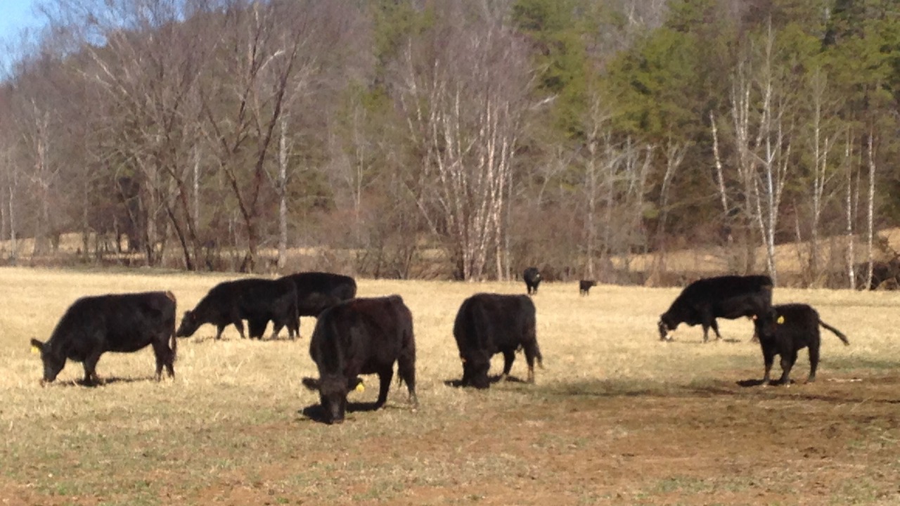 Photo of Outdoor in Ridge