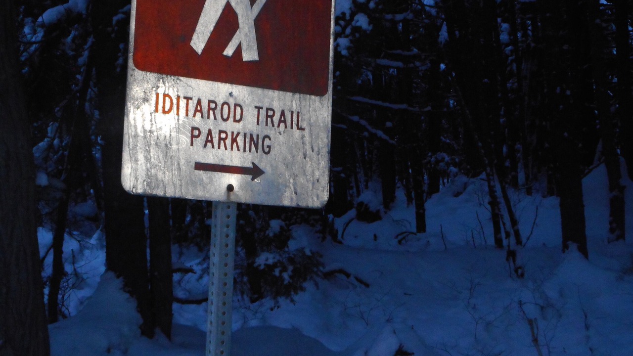 Photo of Outdoor in Alyeska