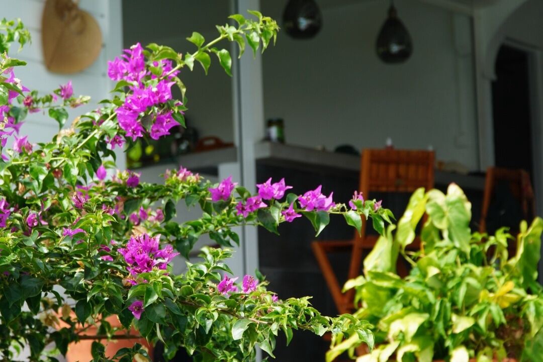Photo of Outdoor in Saint-Francois