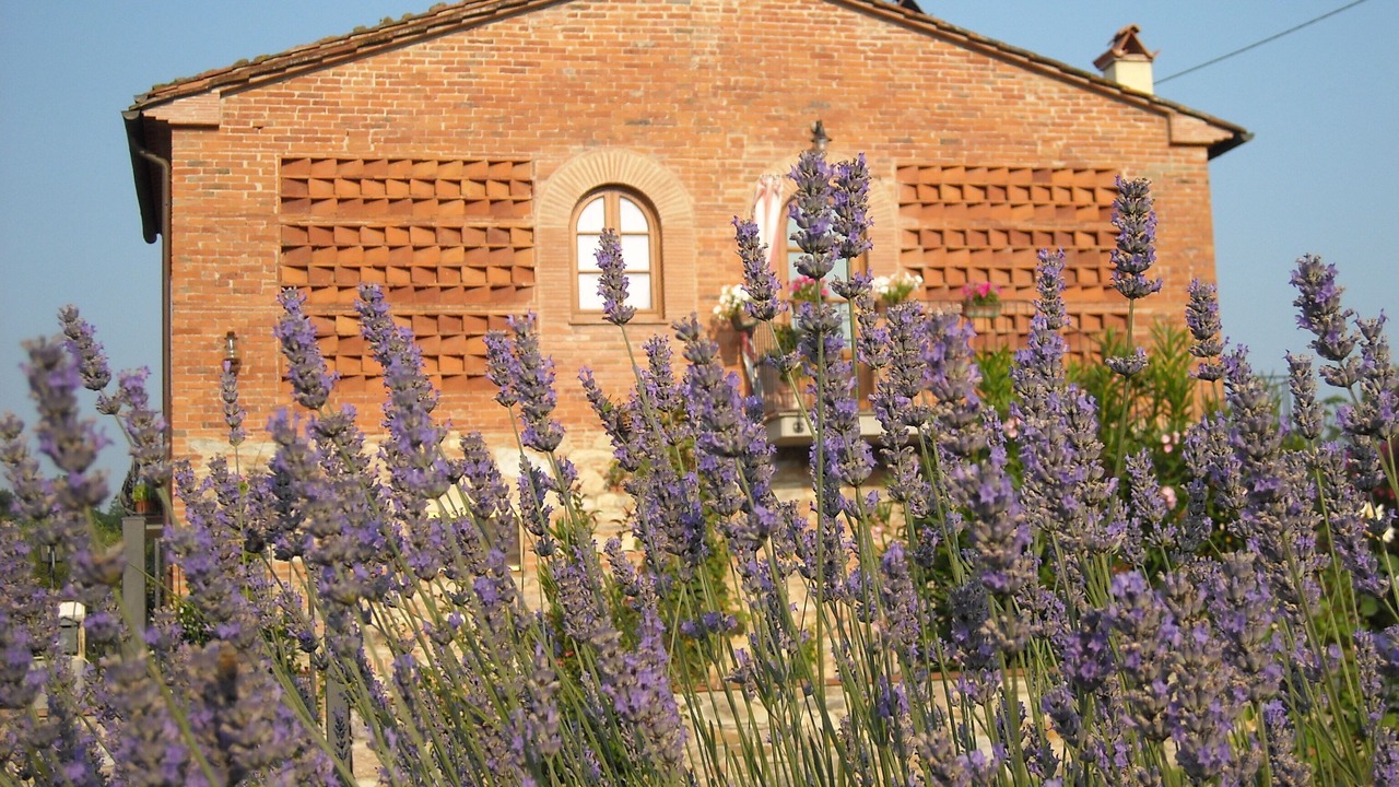 Photo of Outdoor in SantʼAndrea di Compito