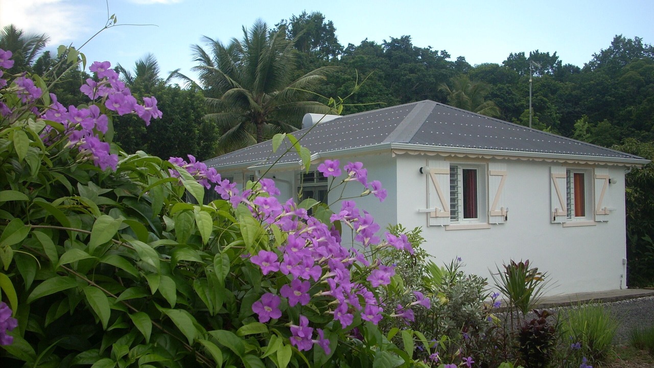 Photo of Outdoor in Petit-Canal