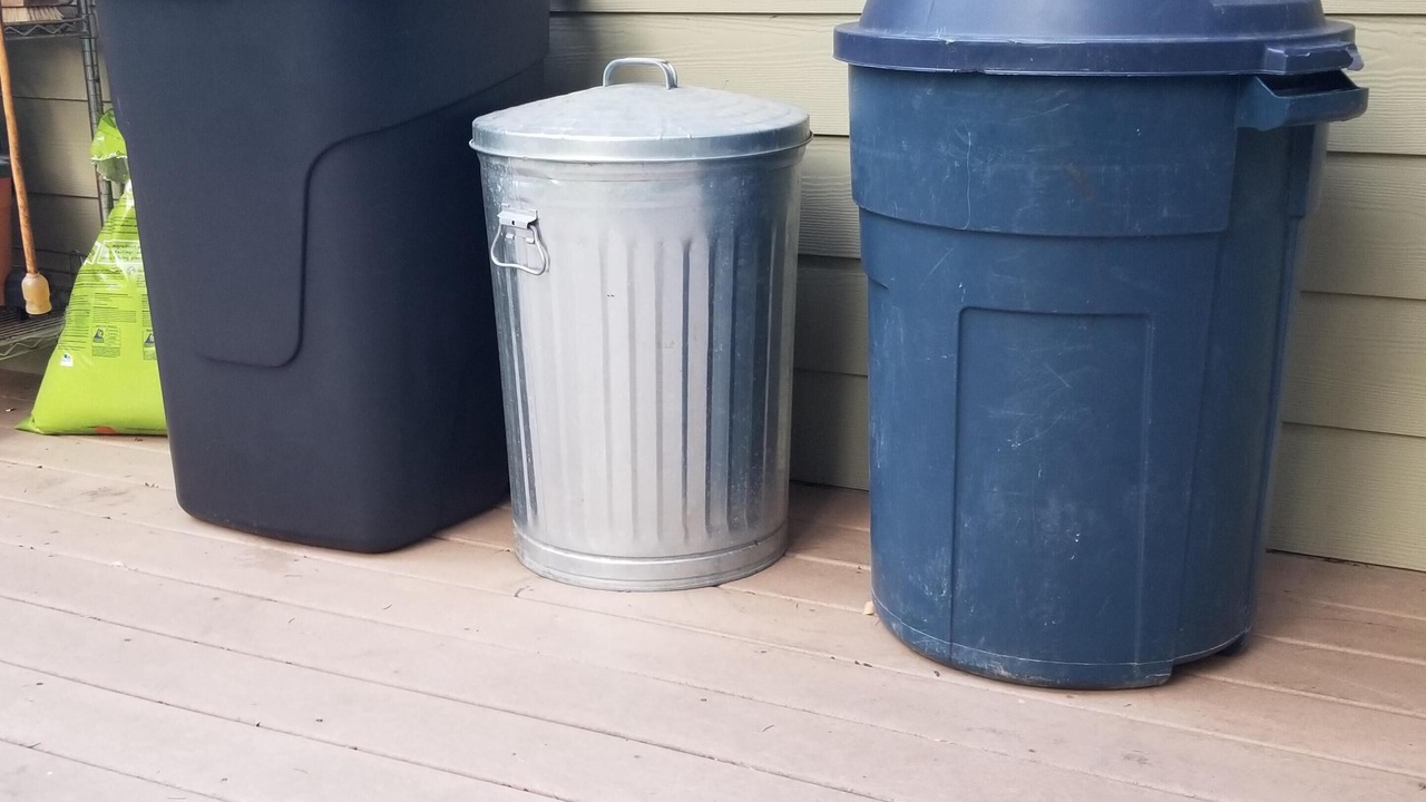 Photo of Outdoor in Port Angeles