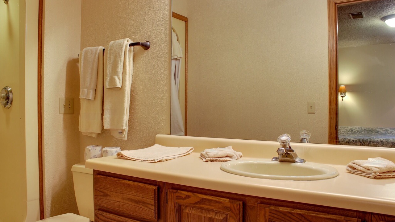 Photo of Bathroom in Lake Delton