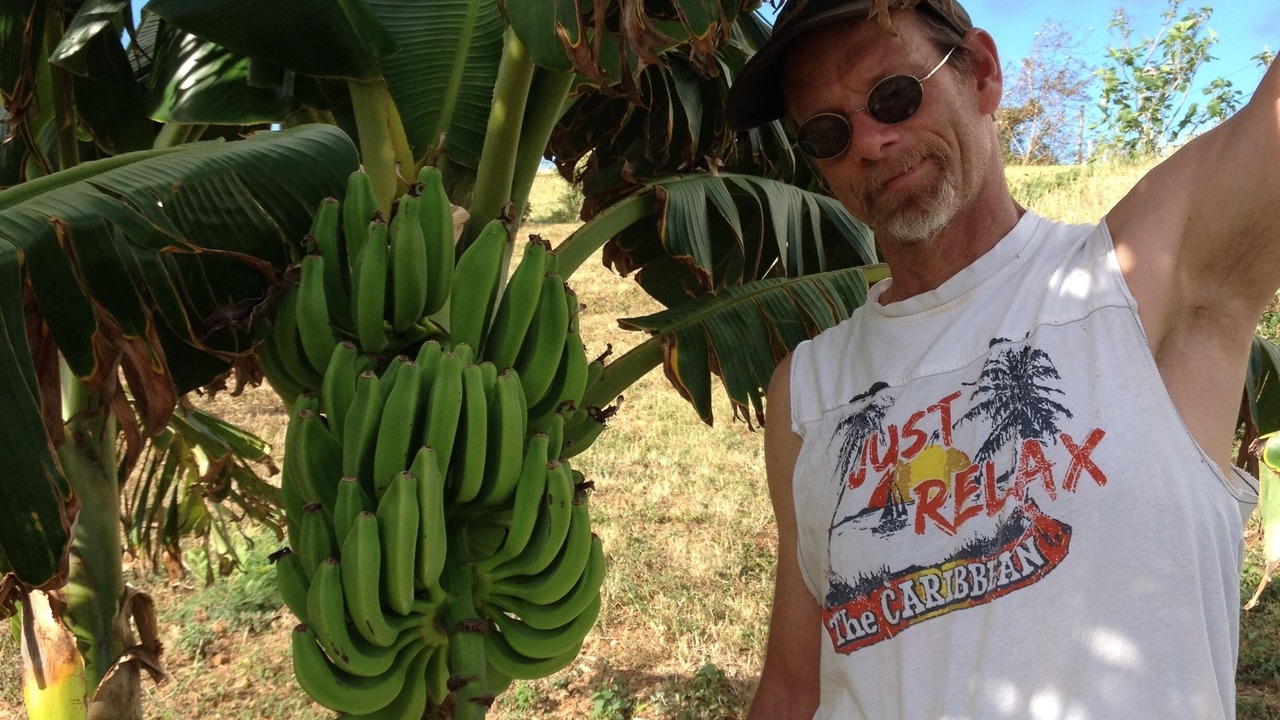 Photo of Others in Villa Borinquen