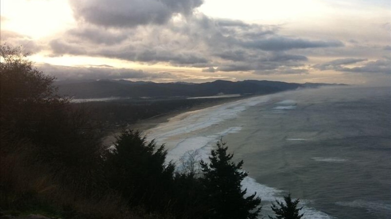 Photo of Others in Manzanita
