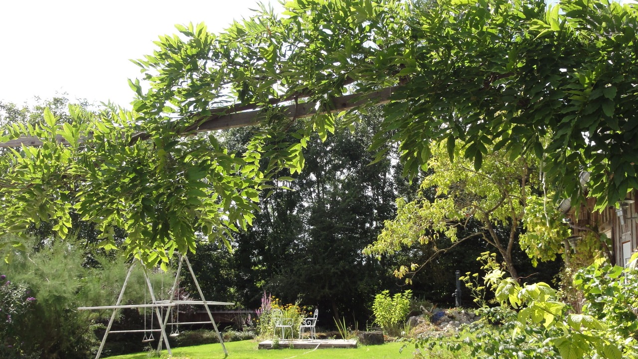 Photo of Outdoor in Coquainvilliers