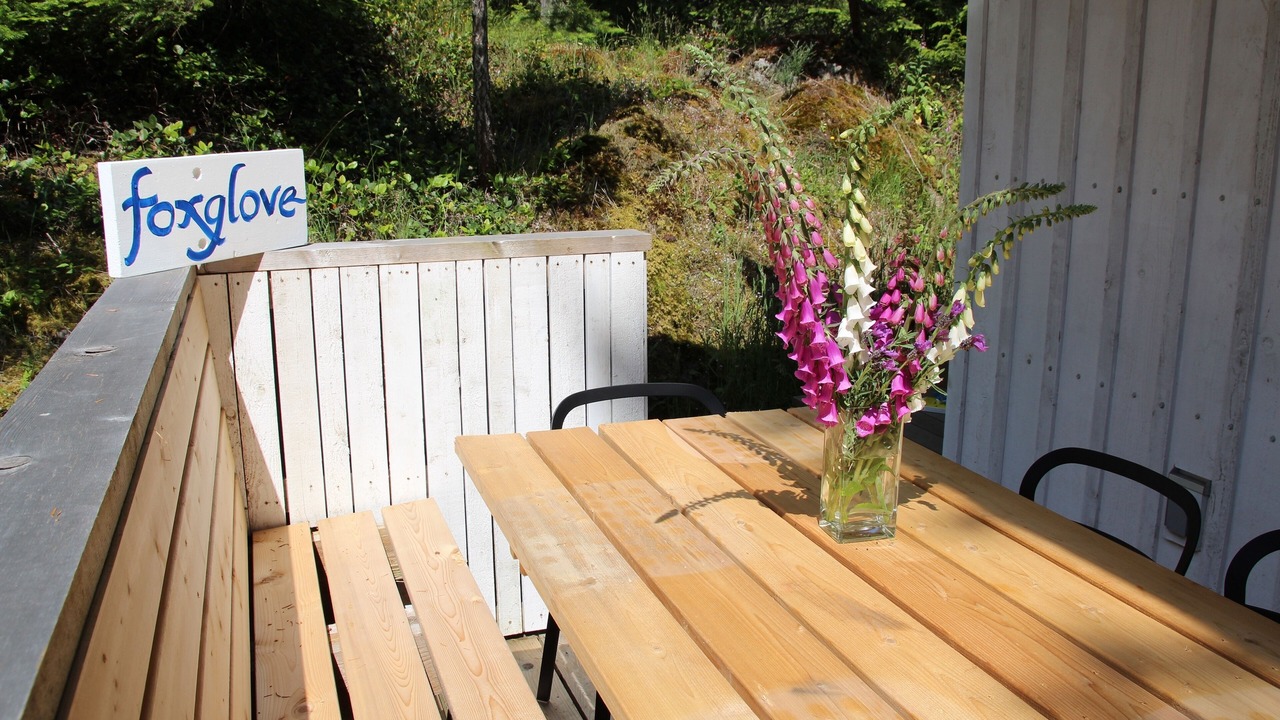 Photo of Outdoor in Pender Island