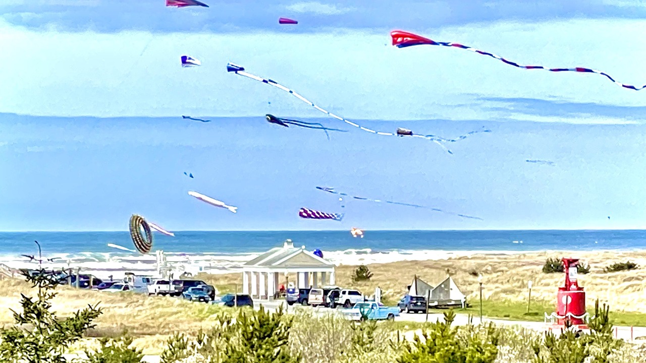 Photo of Others in Long Beach