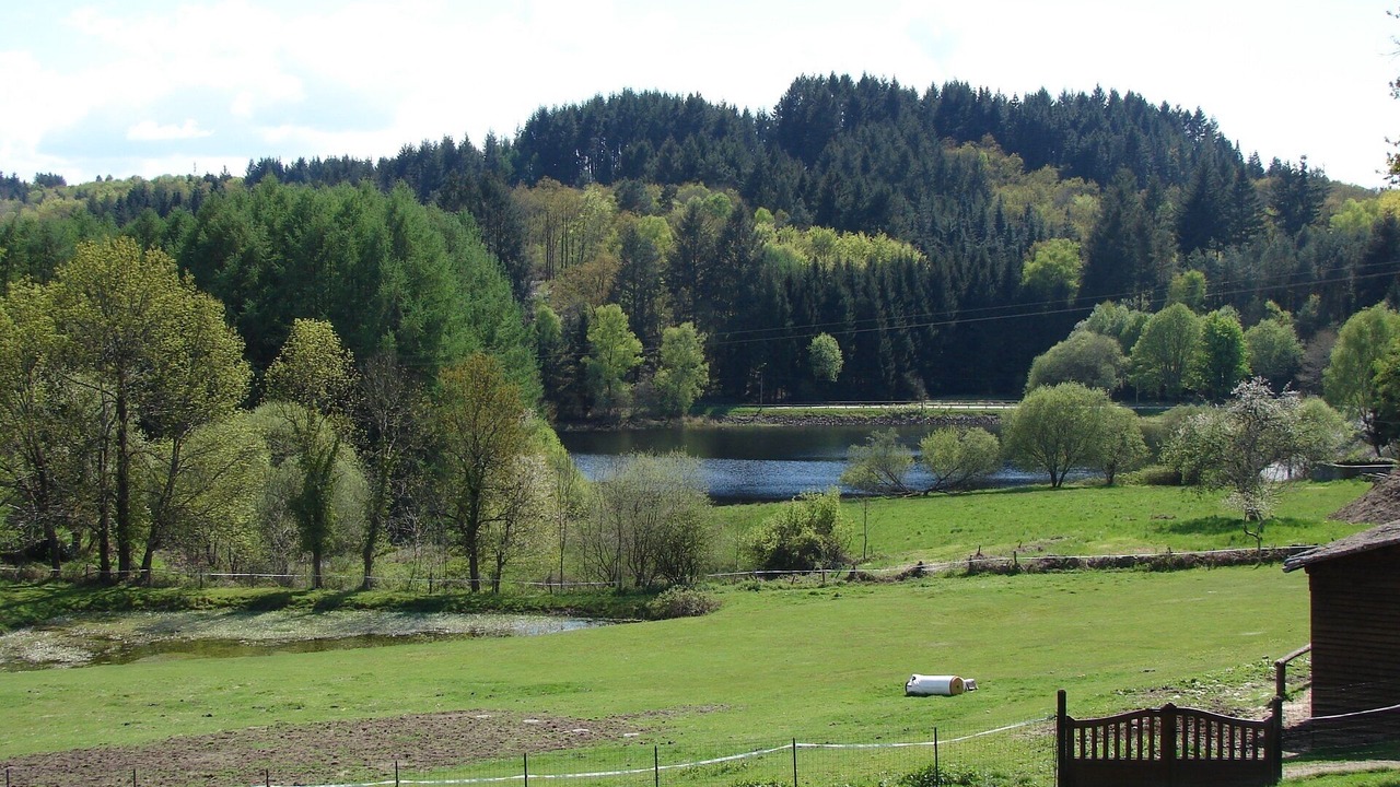 Photo of Others in Saint-Sylvestre