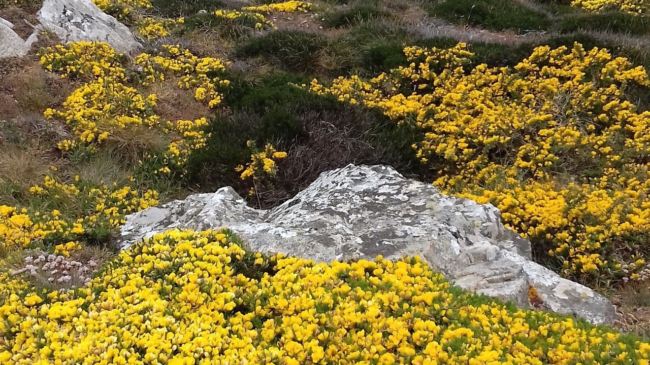 Photo of Others in Finistere