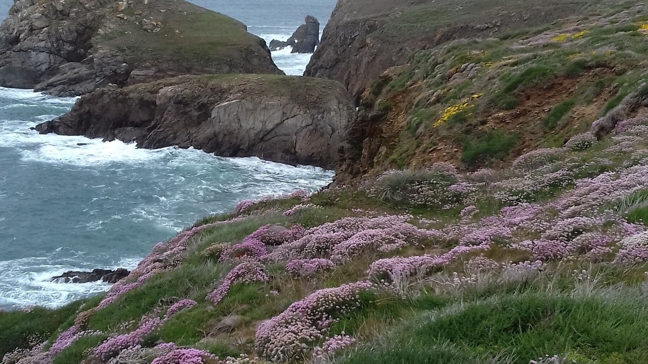 Photo of Others in Finistere