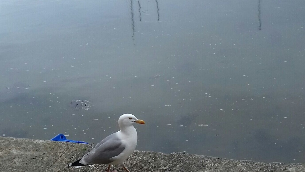 Photo of Others in Finistere