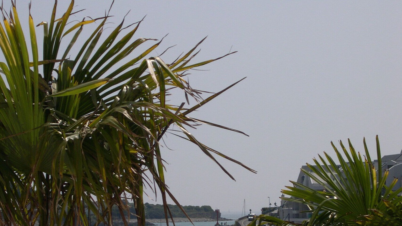 Photo of Others in Finistere